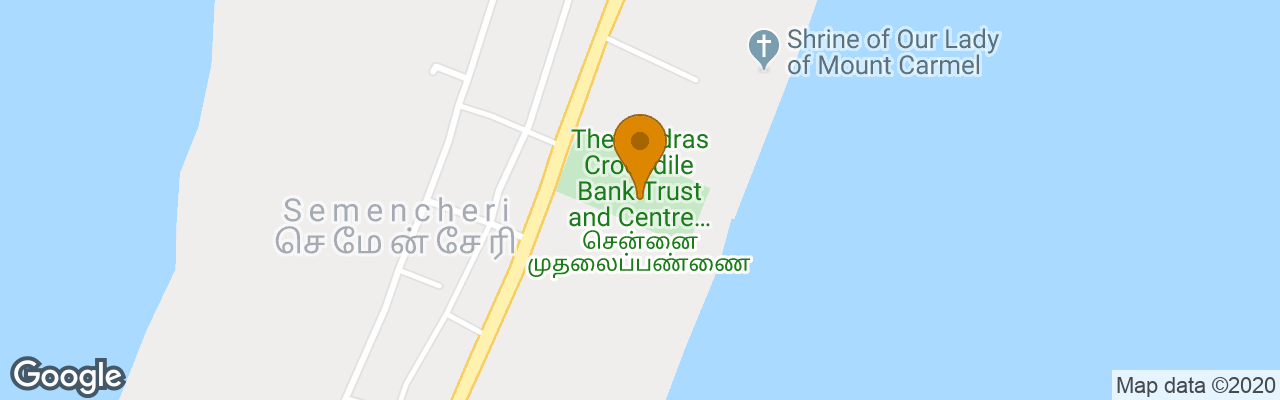 Shelter Beach Resort