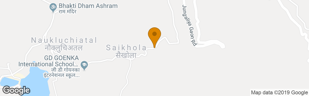 Hotel Niharika Palace