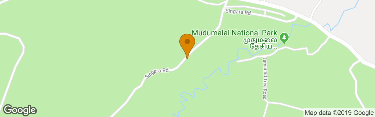 Resort Singaras Coffee Country