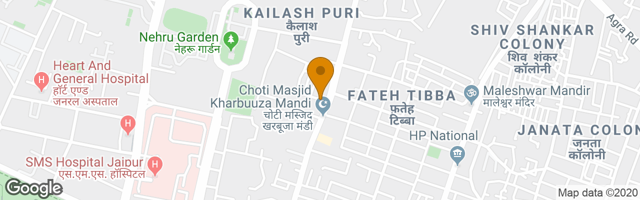 Hotel Padmini Palace