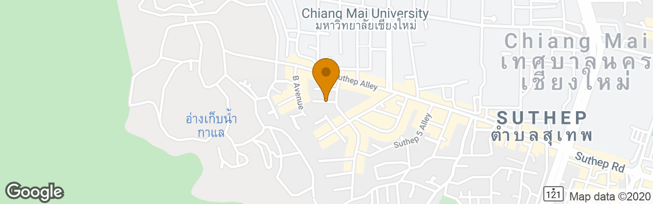 Hotel Squirrel Hostel