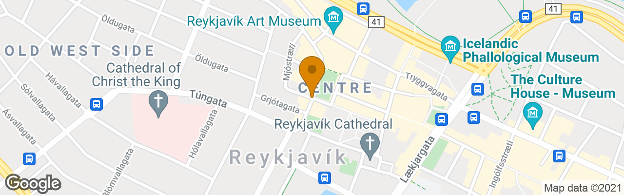 Hotel Reykjavik Centrum