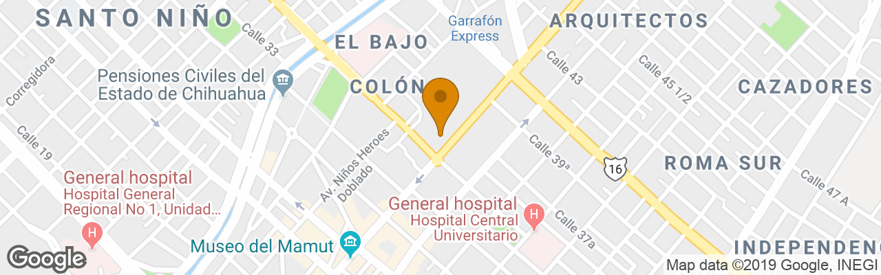 Hotel City Junior Chihuahua 