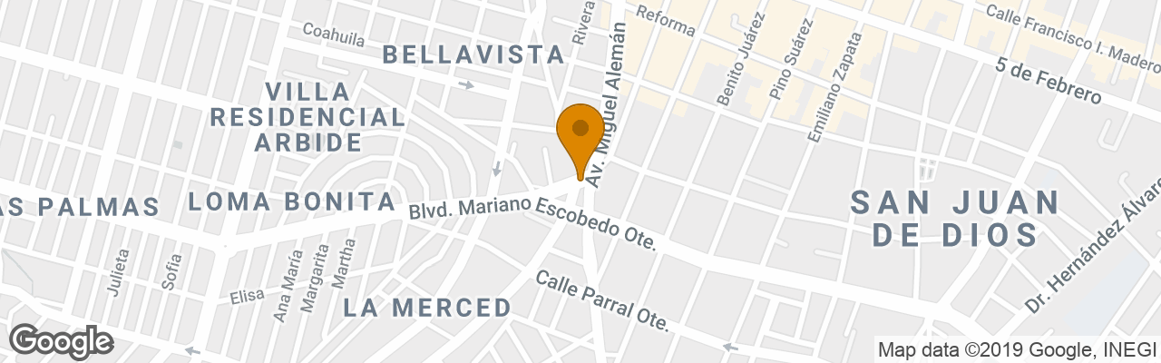 Hotel Howard Johnson Leon Avenida 