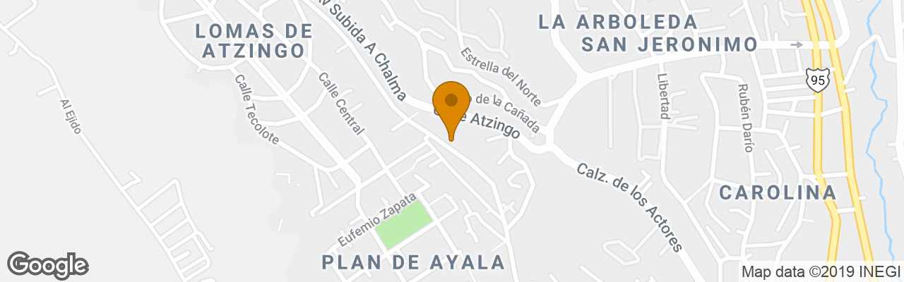 Hotel Ayurveda Palace 