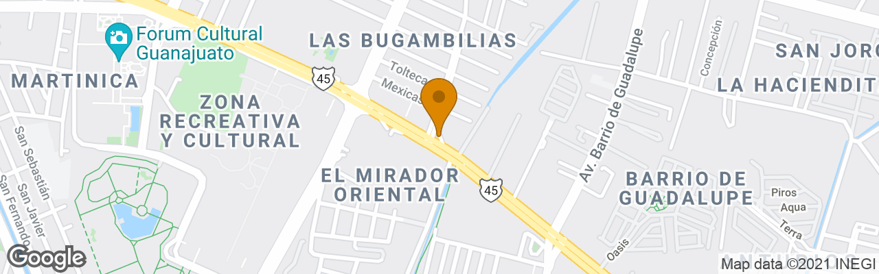 Hotel Holiday Inn Leon Convention Center 