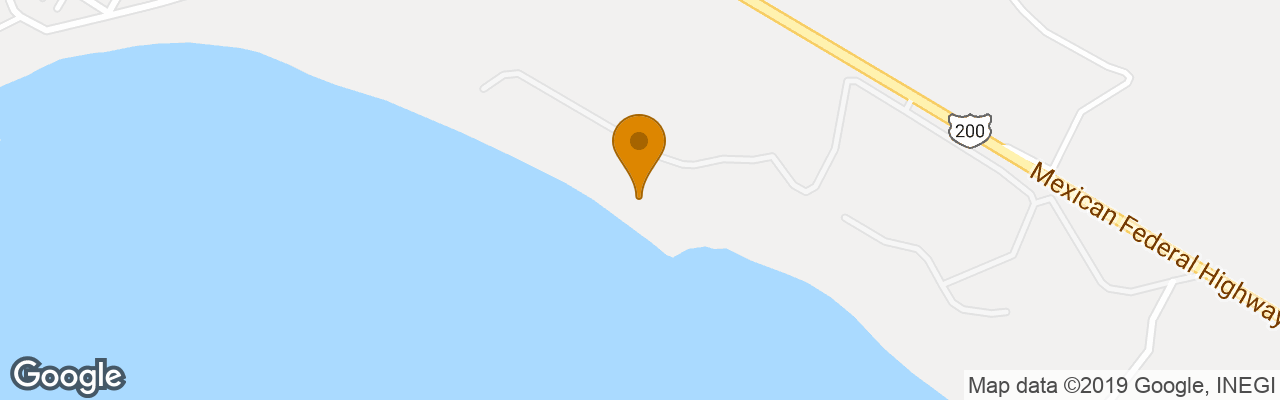 Hotel Palladium Vallarta Resort & Spa 