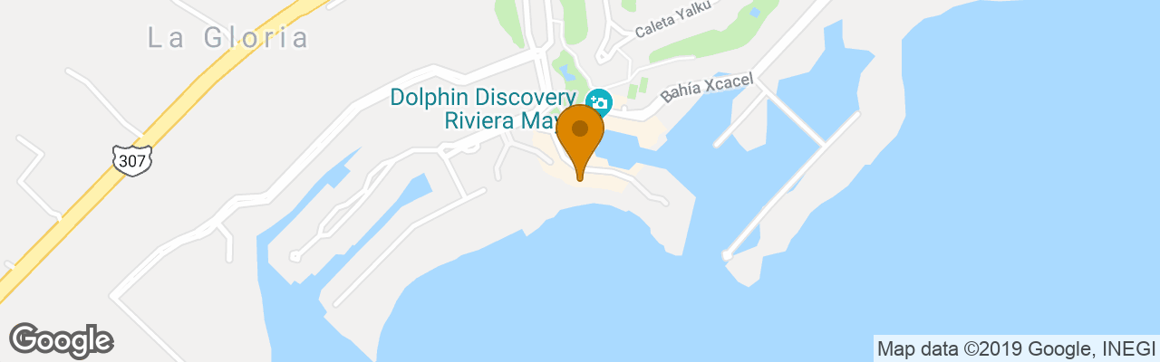 Omni Puerto Aventuras Beach Resort 