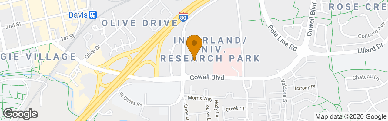 Hotel Comfort Suites Davis 