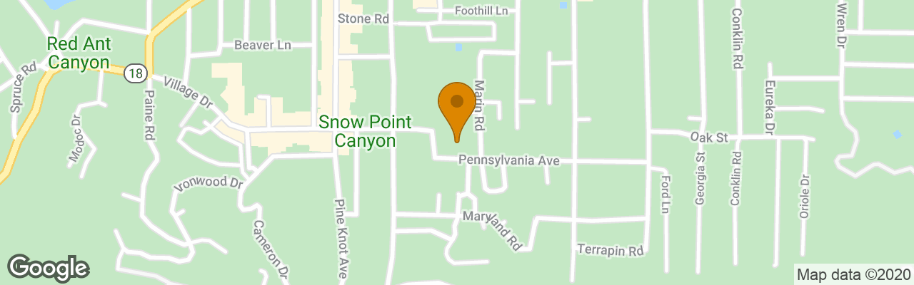 Hotel Honey Bear Lodge & Cabins 