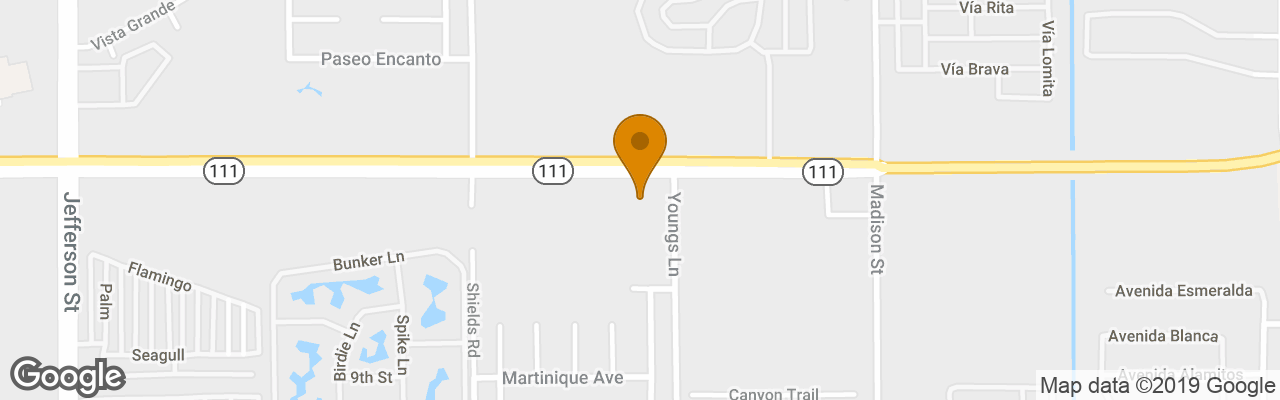 Hotel Palm Shadow Inn 