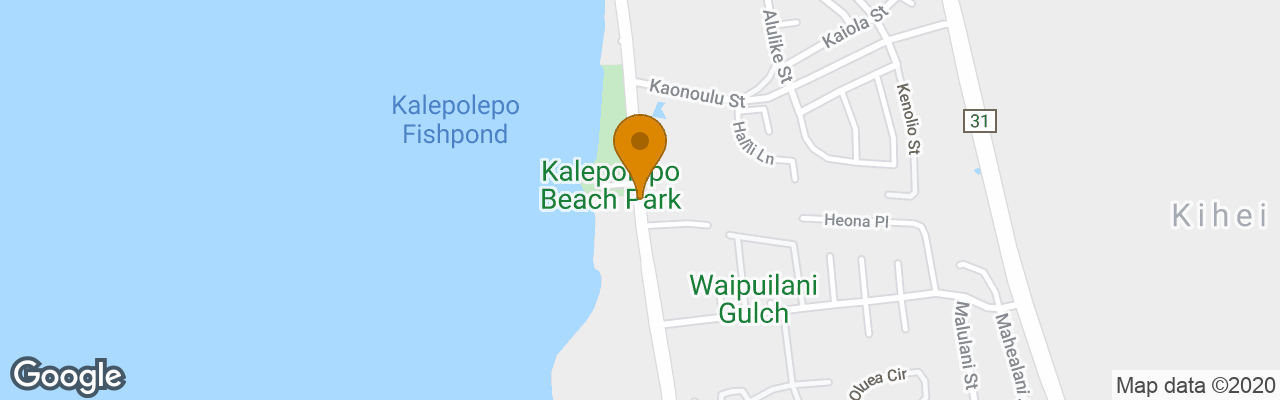 Kihei Bay Vista Condo & Home 