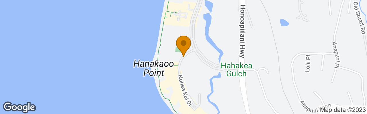 Hôtel Kaanapali Alii 