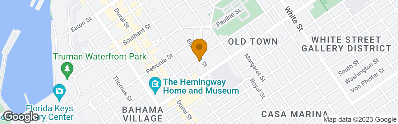 Hotel Blue Parrot Inn 