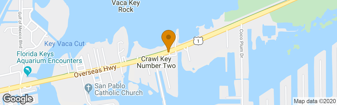 Hotel Go Tour Dolphin Vacations 