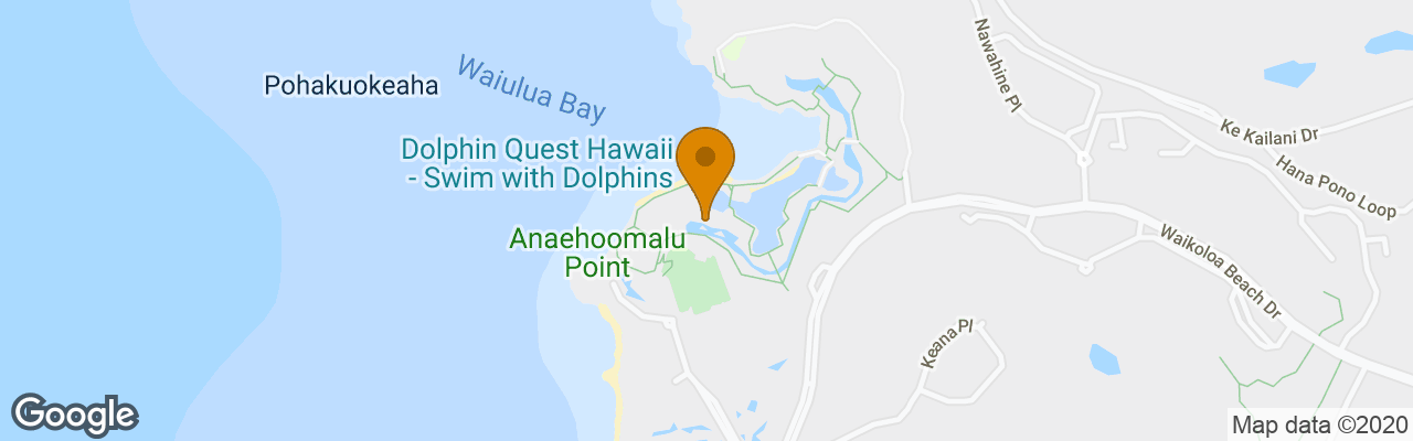 Hotel Waikoloa Beach Marriott Resort & Spa 