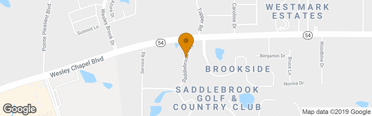 Saddlebrook Resort Tampa 