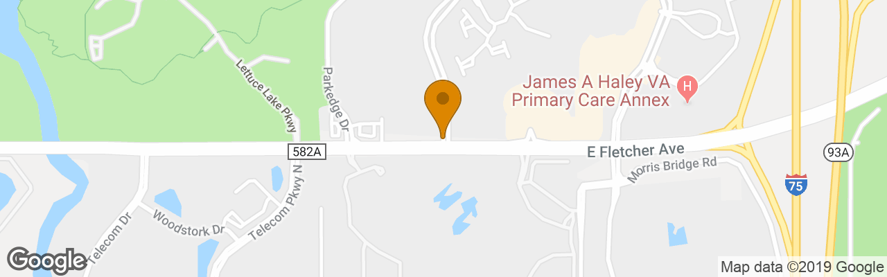 Hotel Hampton Inn & Suites Tampa-North 