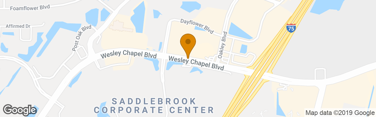 Hotel Holiday Inn Express Wesley Chapel 