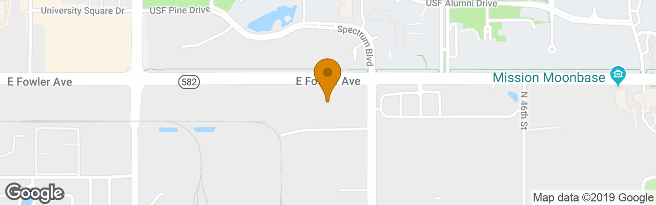 Hotel La Quinta Inn & Suites USF (Near Busch Gardens) 