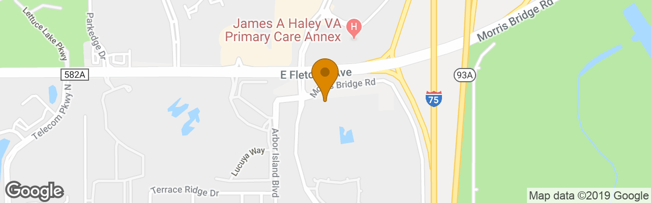 Hotel Sleep Inn Near Busch Gardens usf 