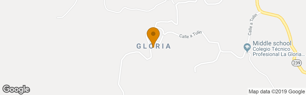 Hotel Paraiso Carlisa 