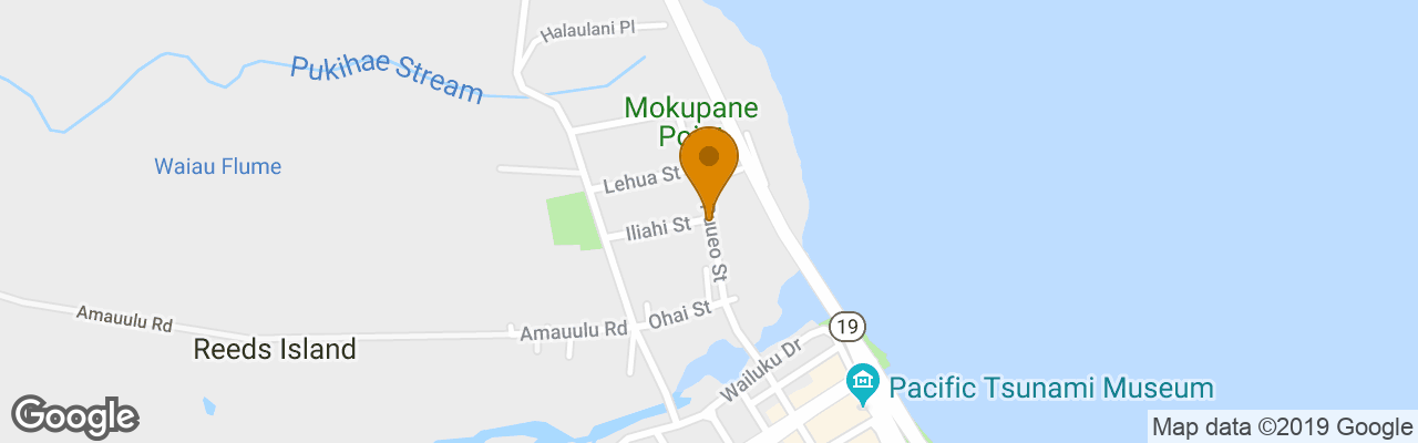 Hotel Wild Ginger Inn 