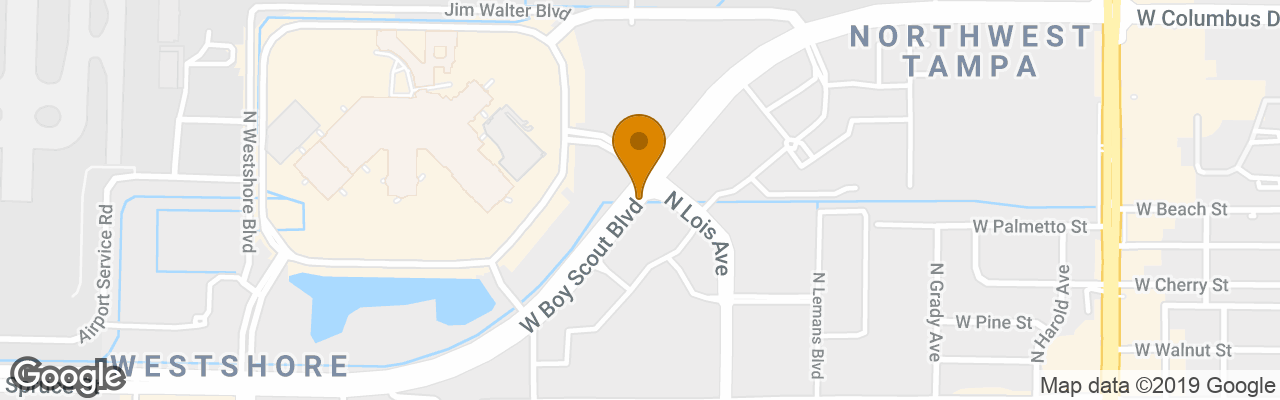 Hotel Residence Inn By Marriott Tampa Westshore 