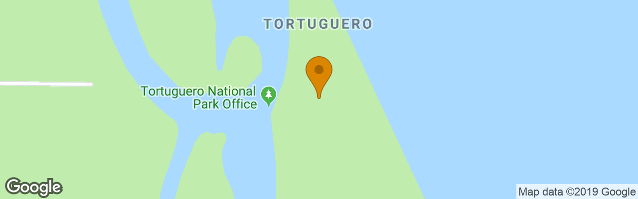 Hotel Turtle Beach Lodge 