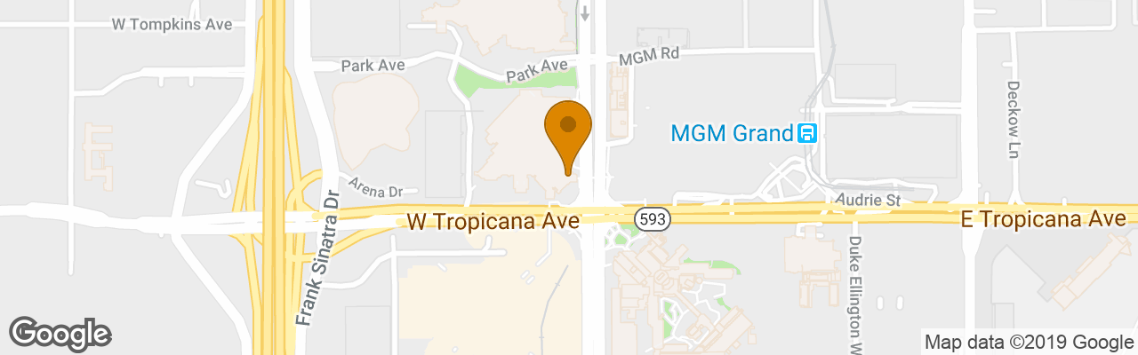 New York New York Hotel & Casino 