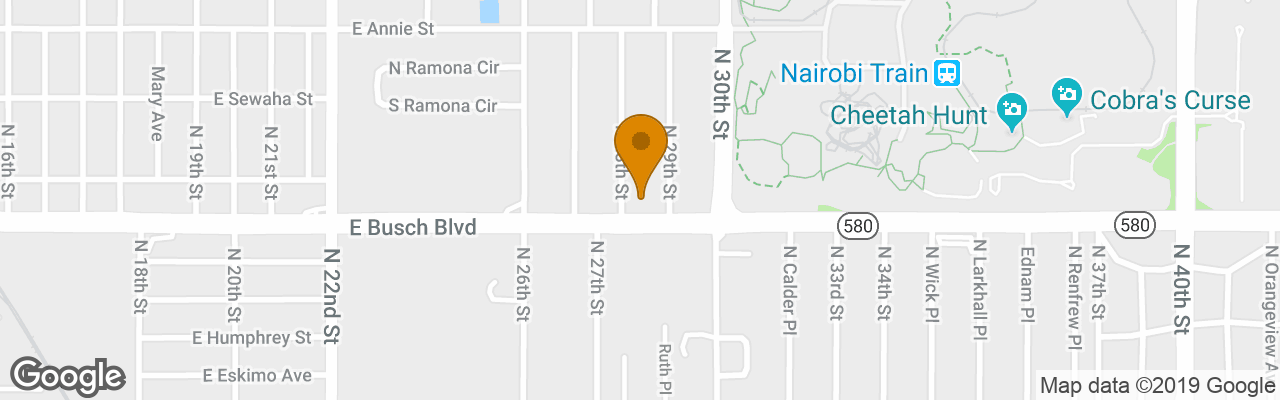 Hotel Holiday Inn Express Tampa -USF-Busch Gardens 