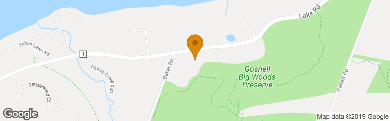 Hotel The Webster House 