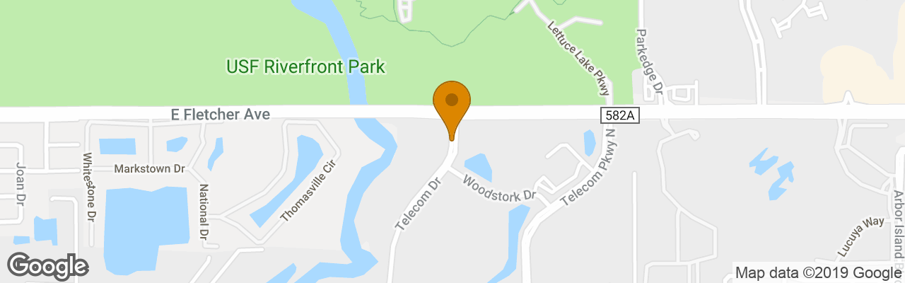 Hotel Holiday Inn ExpressTampa North - Telecom Park 