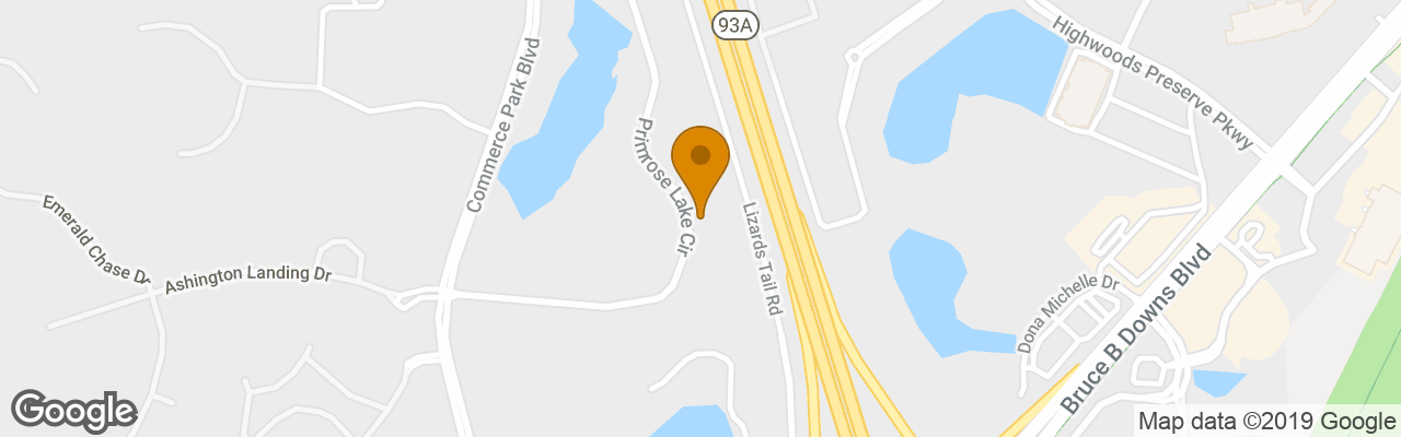 Hotel SpringHill Suites Tampa North I-75 Tampa Palms 