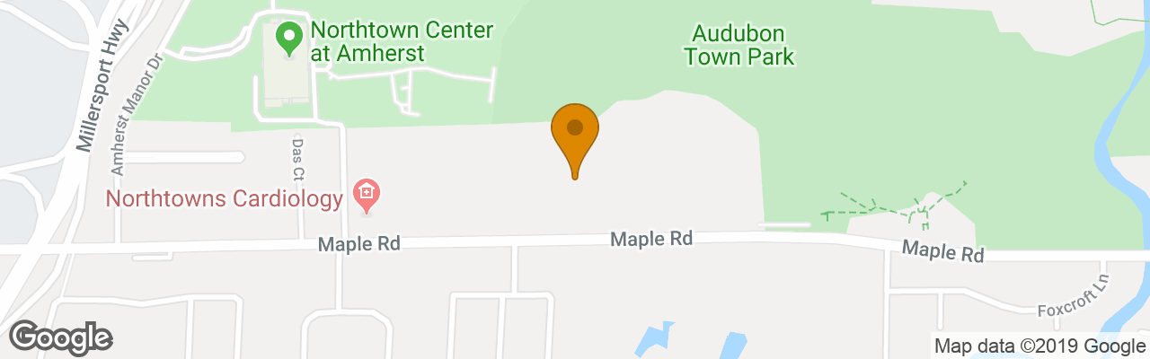 Hotel Hampton Inn And Suites Buffalo/amherst 