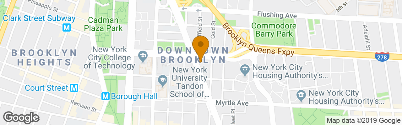 Hotel Hampton Inn Brooklyn Downtown 