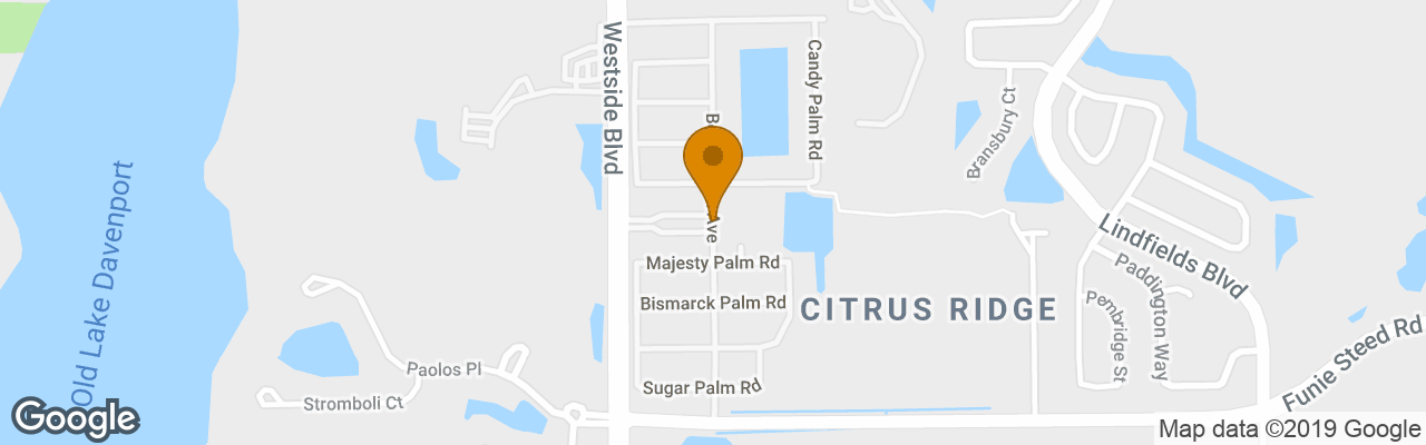 Hotel Paradise Palms Resort 