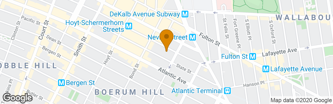 Hotel Holiday Inn Brooklyn Nevins Station 