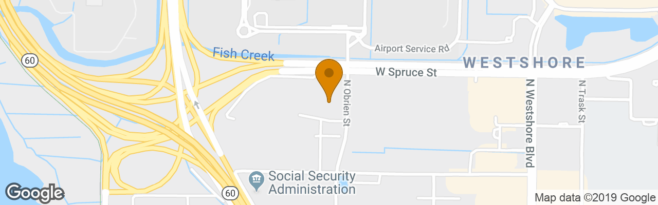 Hotel Hampton Inn & Suites Tampa Airport Avion Park Westshore 