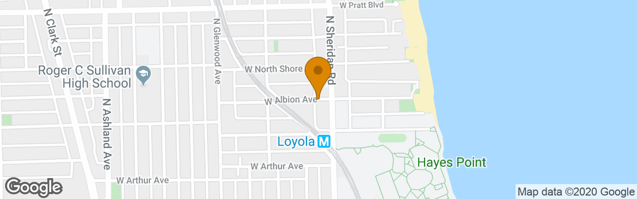 Hotel Hampton Inn Chicago North-loyola Station 