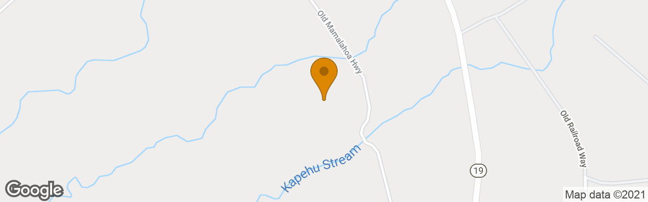 Hotel Hamakua Guest House 