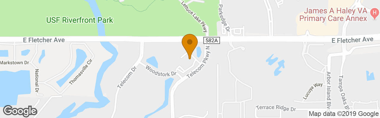 Hotel Residence Inn Tampa North I75 Fletcher 