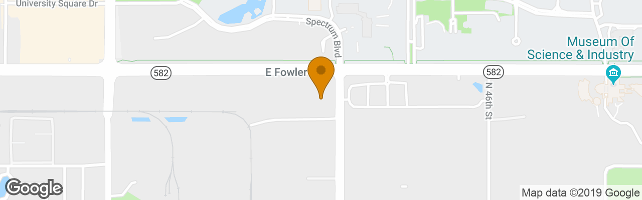 Hotel Home2 Suites By Hilton Tampa Usf Near Busch Gardens 