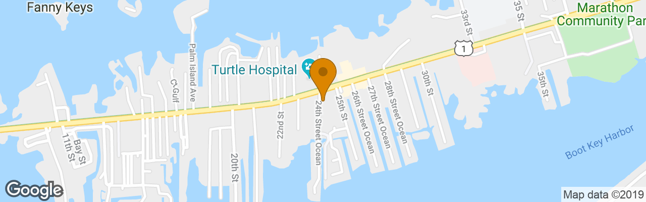 Hotel Blue Marlin Marathon 