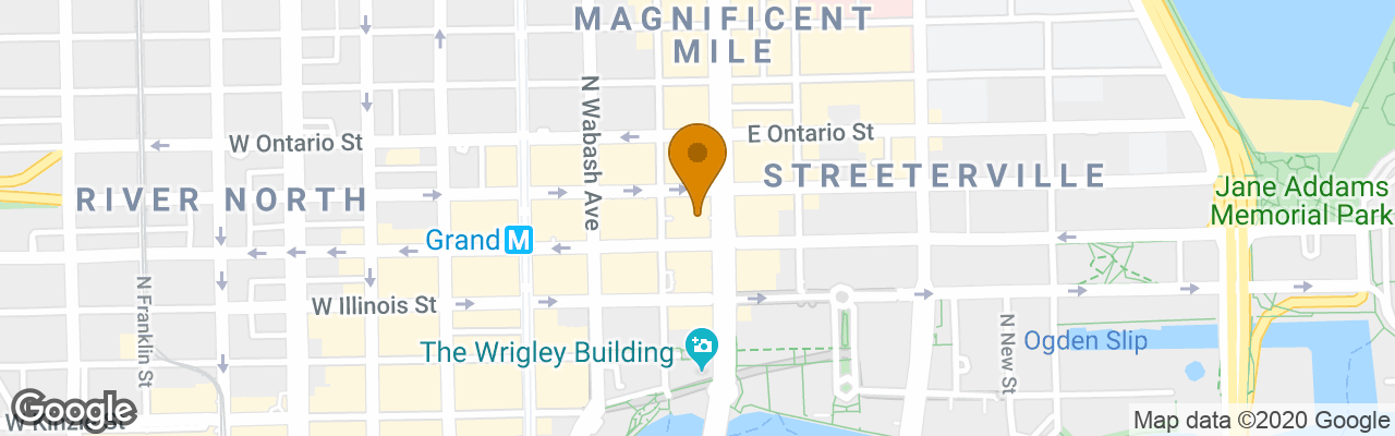 Hotel Chicago Marriott Downtown Magnificent Mile  