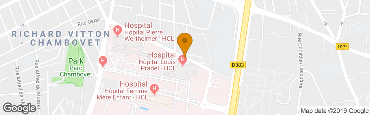 Hôtel Ibis Lyon Est Bron 