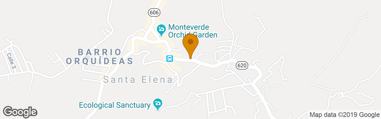 Hotel Ficus Sunset Suites 