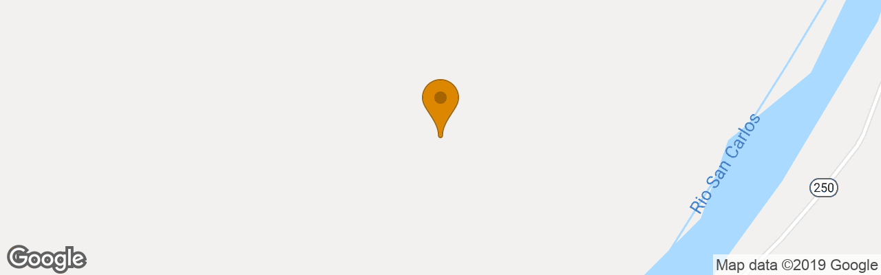 Hotel Maquenque Eco Lodge 