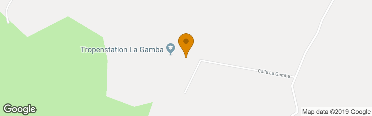 Hotel Esquinas Rainforest Lodge 