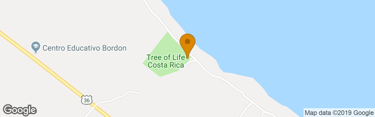 Hotel Caribbean Coconut 